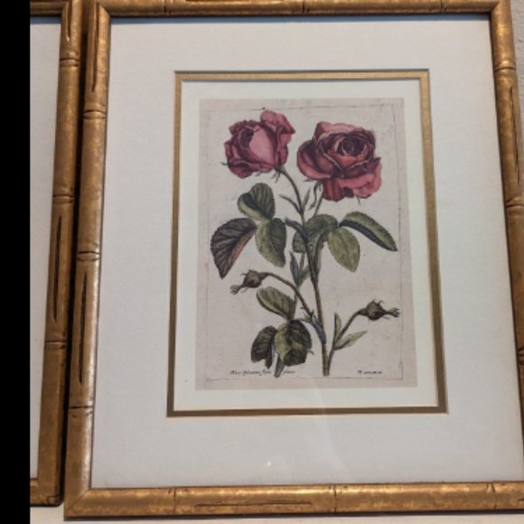 6"x9" Original Nicolas Robert Print French Artist 1600s Antique Fine Art - Picture 5 of 5